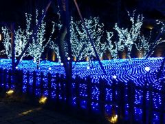 -蜻蜓逐宴全日制西餐厅I古北水镇大酒店