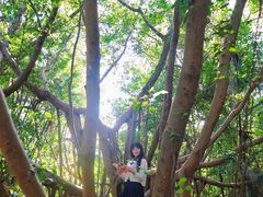 -燕晗山郊野公园