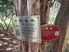 -黑龙江省森林植物园