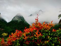 -长寿村