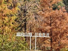 -云溪植物园