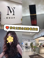 -蚂蚁造型俱乐部