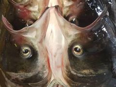 -畲乡一品鱼府土菜馆