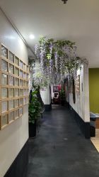 -盘子女人坊古装写真摄影(深圳店)