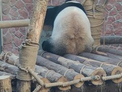 -黔灵山公园