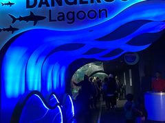 -瑞普利水族馆