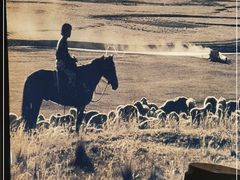 -快乐小羊(富强中路店)