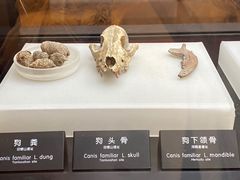 -河姆渡遗址博物馆