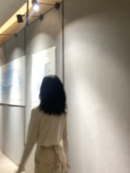 -ACE造型