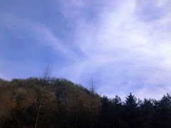 -秦岭风景区