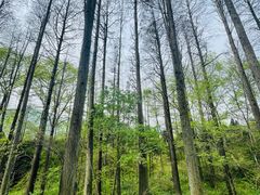 -波尔登森林公园