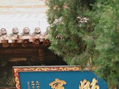 -洛阳白马寺