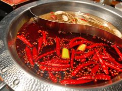 -宽巷子成都火锅(南站店)