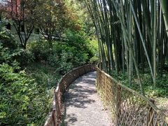 -汇龙潭
