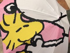 -史努比缤纷世界