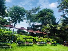 -卷心菜和避孕套餐厅(Pattaya)