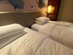 -常州环球恐龙城维景国际大酒店