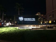 -三亚湾红树林度假世界(木棉酒店)
