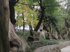 -房湖公园
