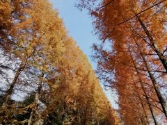 -塔川景区
