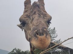 -西安秦岭野生动物园