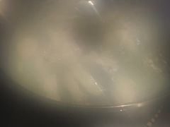 -润青四季音乐主题餐厅·椰子鸡(罗湖店)