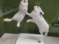-国家自然博物馆