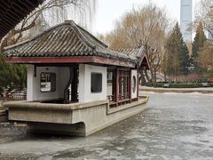 -团结湖公园