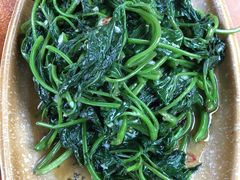 清炒菜苔-青城甲(青城山店)