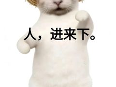 -西北轻工批发市场