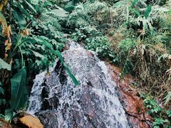 -梧桐山风景名胜区
