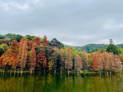 -广州市白云山风景名胜区