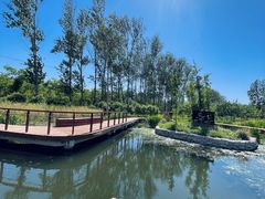 -东郊湿地公园