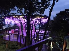 -草山夜未眠景观餐厅