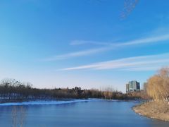 -大兴滨河森林公园