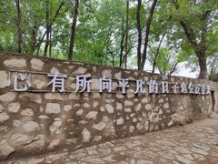 -抱犊寨风景区