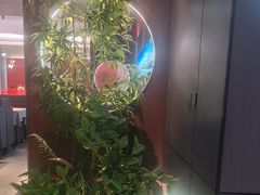 -7号院家宴.烧鸽子(门头沟店)