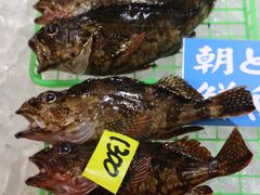 -海鮮寿司とれとれ市場