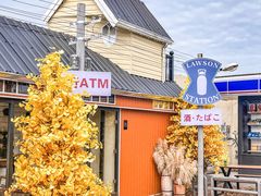 -Blue Concept Cafe&Farm·關於藍