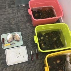 -邵老师打金·黄金加工(大望路总店)