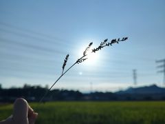 -煲煲掂风味煲仔饭餐厅(西区店)