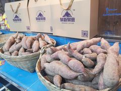 -鹭岛新泉客家菜·海鲜·融合菜(莲前店)