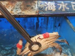 -海玥荟海鲜姿造自助餐厅(欧罗巴广场店)