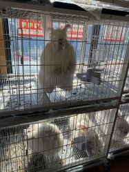 -小蜜蜂农场(凯德七宝购物广场店)