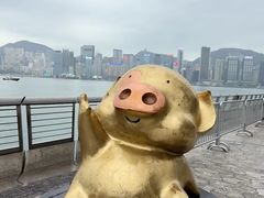 -星光大道