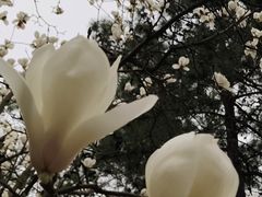 -同济大学(嘉定校区)