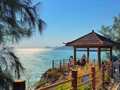 -广东惠东海龟国家级自然保护区