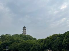 -江心屿景区