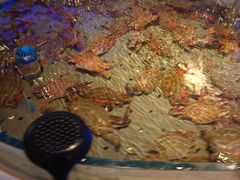 -澜悦港海鲜体验主题餐厅