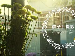 -VOYAGE COFFEE(北锣鼓巷店)